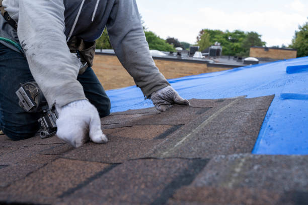 Best Roof Insulation Installation  in Old Fig Garden, CA